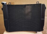 Wasserkühler Tuono 660 und RS 660