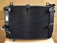 Wasserkühler Tuono 660 und RS 660