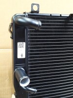Wasserkühler Tuono 660 und RS 660