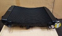 Wasserkühler Tuono 660 und RS 660