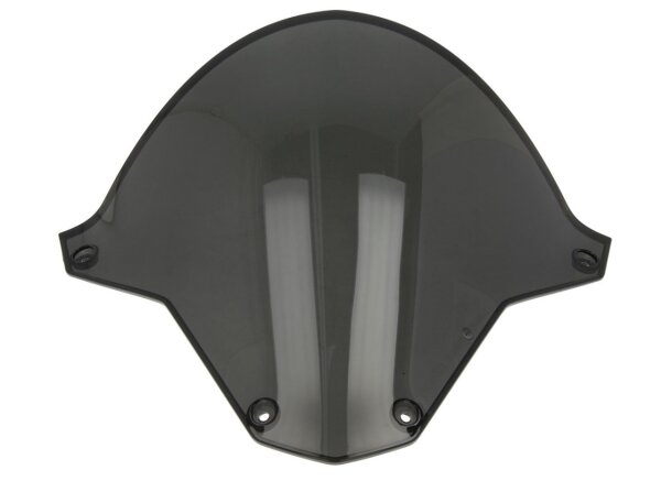 Windschild