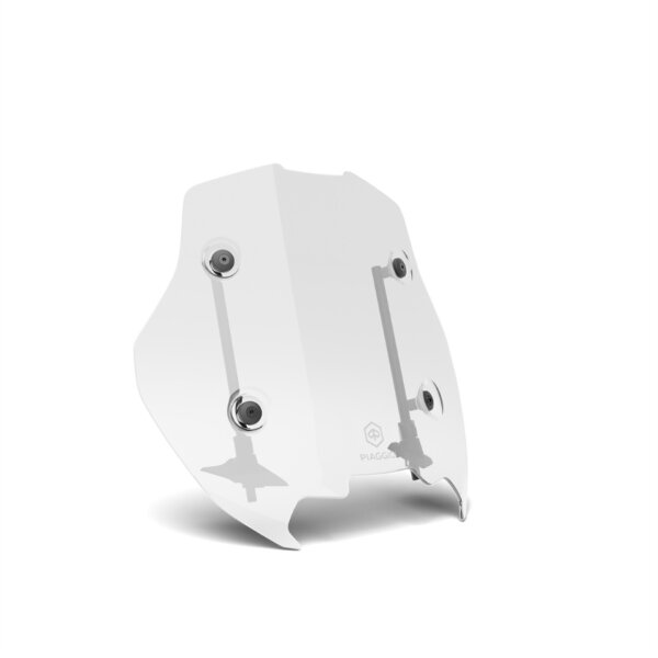Getöntes Windschild