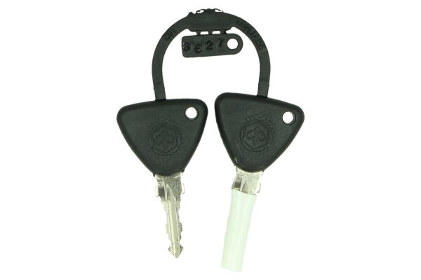 Piaggio 37L Topcase Kit mit lackiertem Deckel - weiß