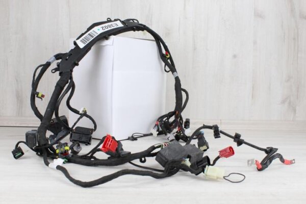 Kabelbaum Aprilia RS 660 (2020-2024)