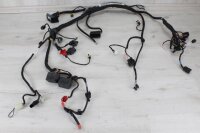 Kabelbaum Aprilia RS 660 (2020-2024)