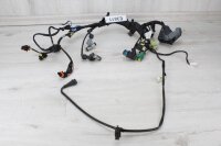 Kabelbaum Aprilia RS 660 (2020-2024)