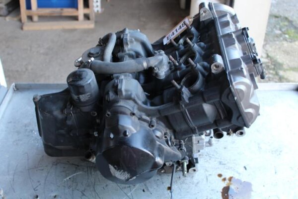 Motor, Motorblock, Gehäuse, Block, Triumph Street Triple 675 (2008)