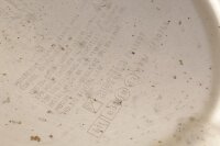 Auspuff, Krümmer, Endschalldämpfer, Endtopf Aprilia Shiver 900 (2019)