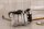 Bremssattel, Bremsanlage, Bremszange Kreidler  SM / GS 125 Pro