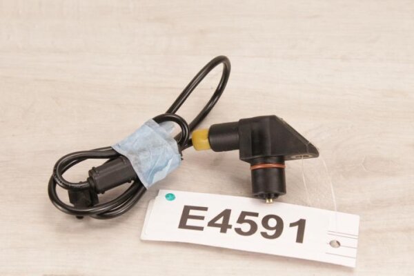 Sensor BMW K 1200 R (2007)