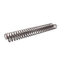 R1/R6 NIX30 FEDERN KIT 10N/MM