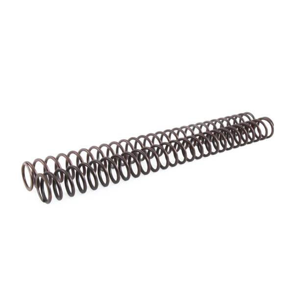 R1/R6 NIX30 FEDERN KIT 9N/MM