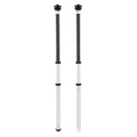 YZF-R3 OHLINS CARTR KIT NIX22