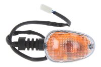Vorderblinker links