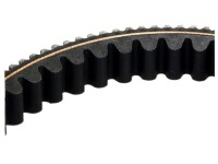 TRAPEZRIEMEN