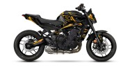 Yamaha MT-09 Farbe Zündung Gold // A-RIDER //