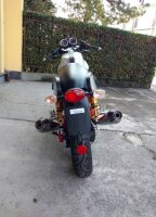 Auspuff, Krümmer, Endschalldämpfer, Endtopf Agostini Moto Guzzi V7 III 2017-2020