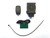 Elektronischer Diebstahlschutz