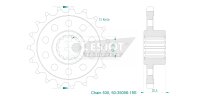 ESJOT Ritzel 19 Z-S